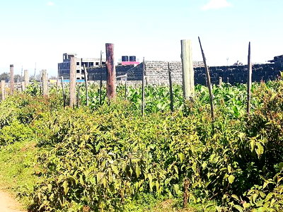 Superb Plot at Runda Lanet in Nakuru for Sale - Image 3