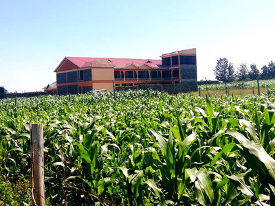 Superb Plot at Runda Lanet in Nakuru for Sale - Image 4