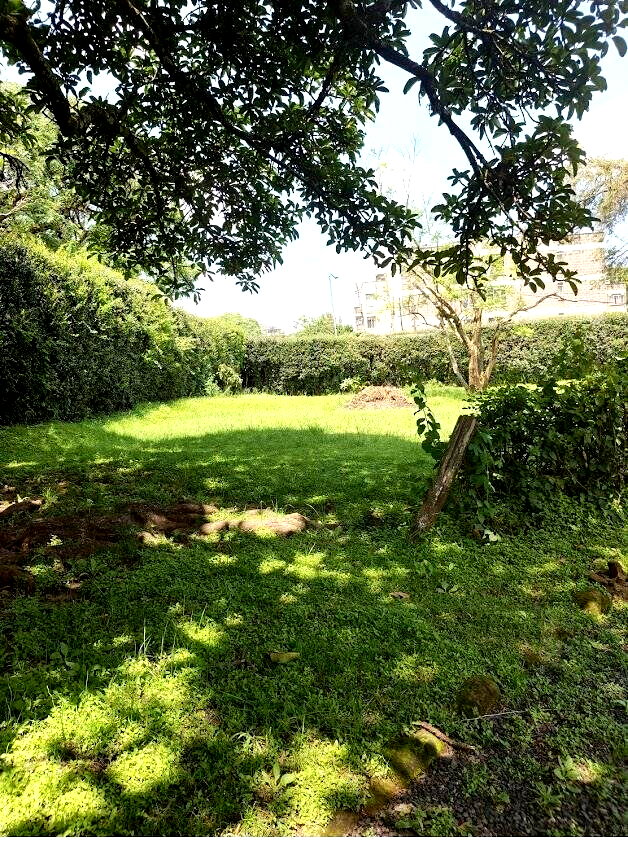 KSh 320M Kilimani Land Deal