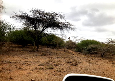 KSh 120K Garden Plot with Parking