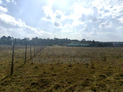 One Acre Piece of Land on Sale in Karen, Nairobi. Touching Tarmac. - Image 3