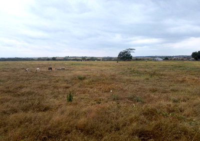 50x100 Plot in Kajiado CBD