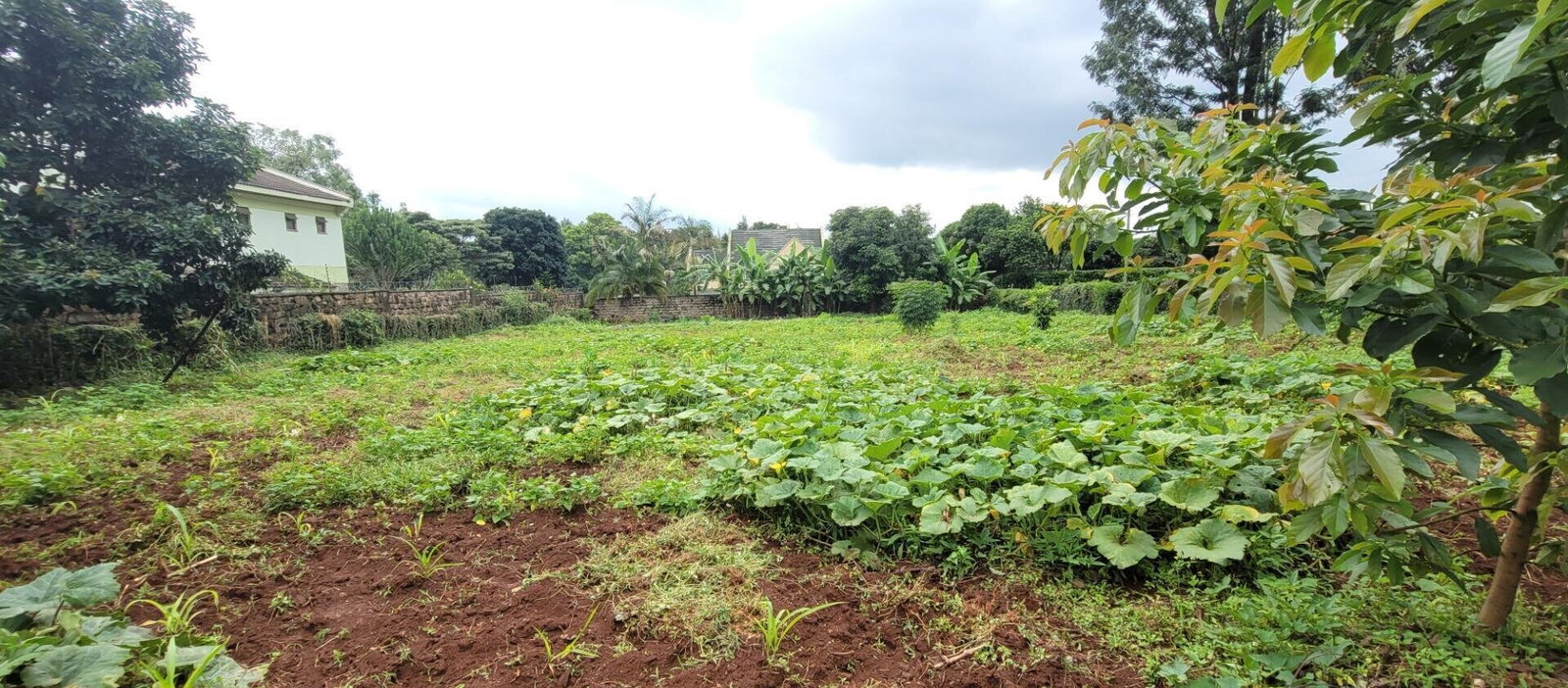 Half Acre Garden Plot at KSh 58M