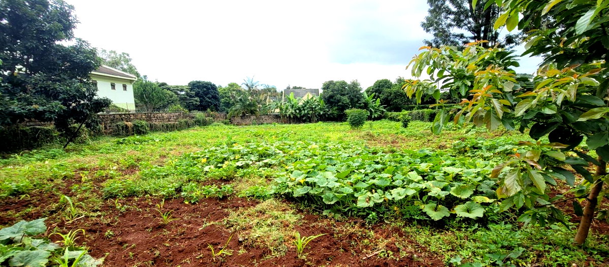 Half Acre Garden Plot at KSh 58M