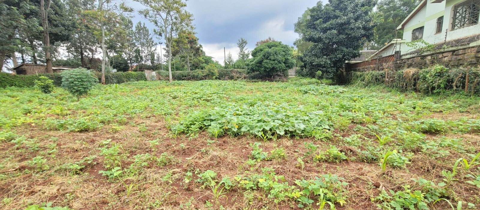 Half Acre Garden Plot at KSh 58M