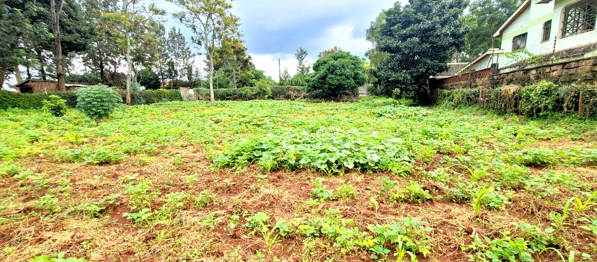 Half Acre Garden Plot at KSh 58M