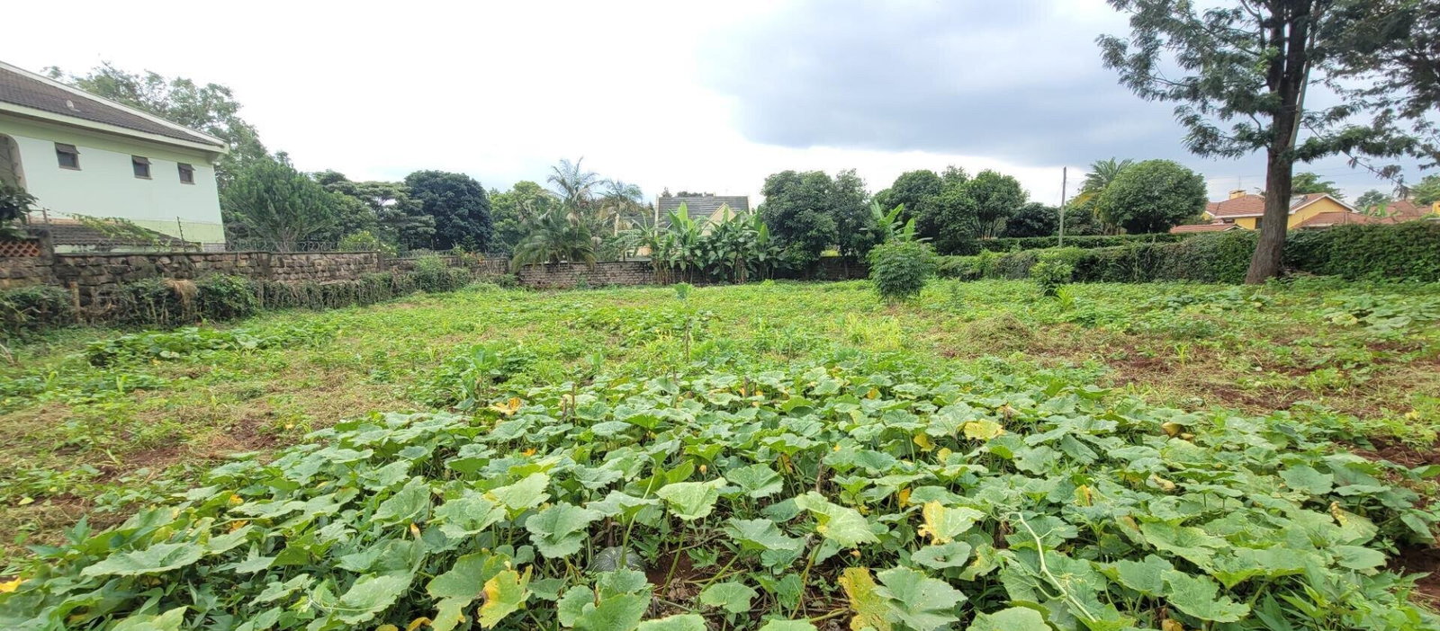 Half Acre Garden Plot at KSh 58M