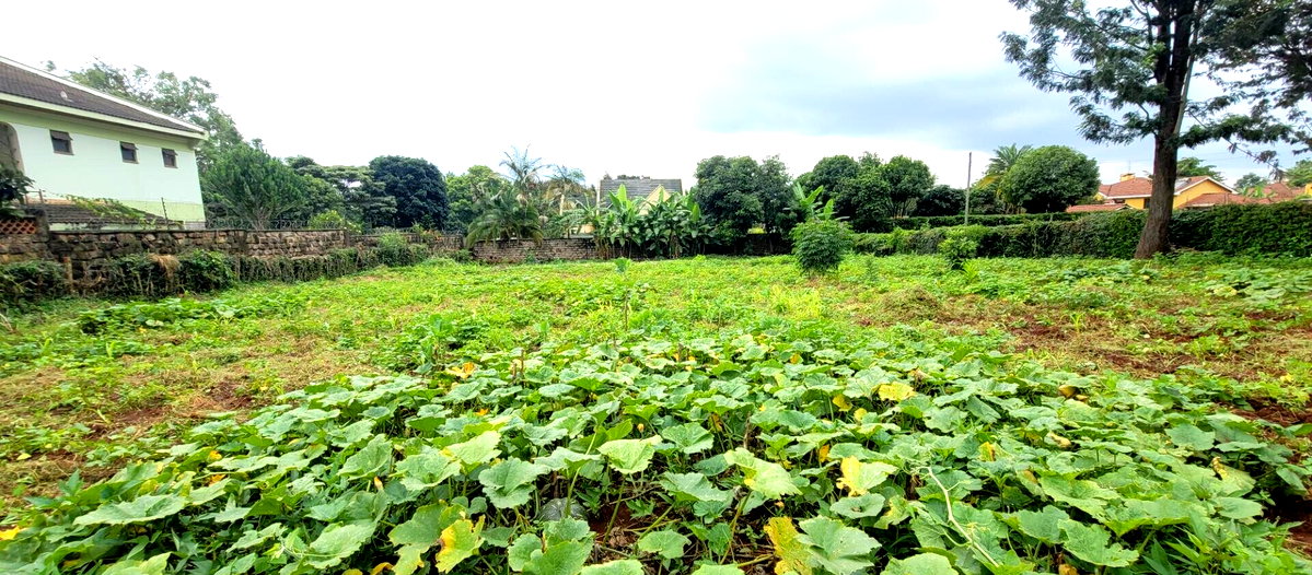 Half Acre Garden Plot at KSh 58M