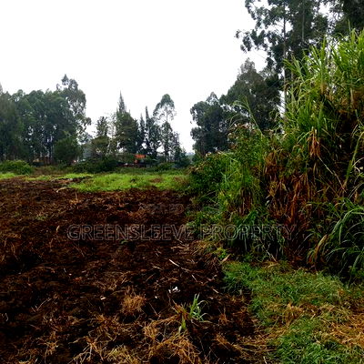 Commercial Land for Lease - Image 6