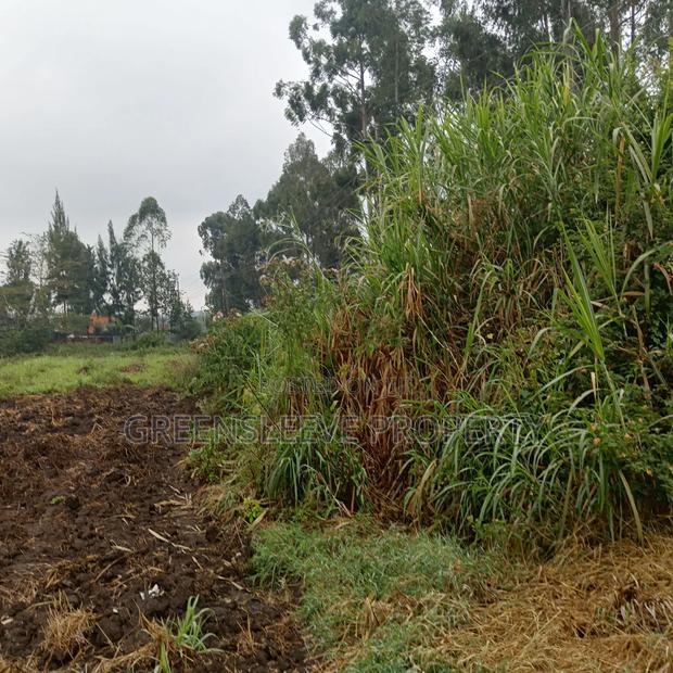 Commercial Land for Lease