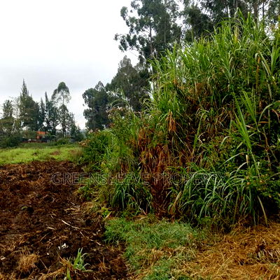 Commercial Land for Lease - Image 5