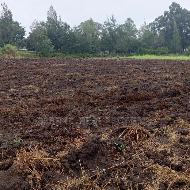 Commercial Land for Lease