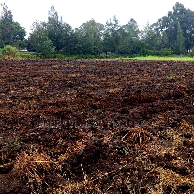 Commercial Land for Lease