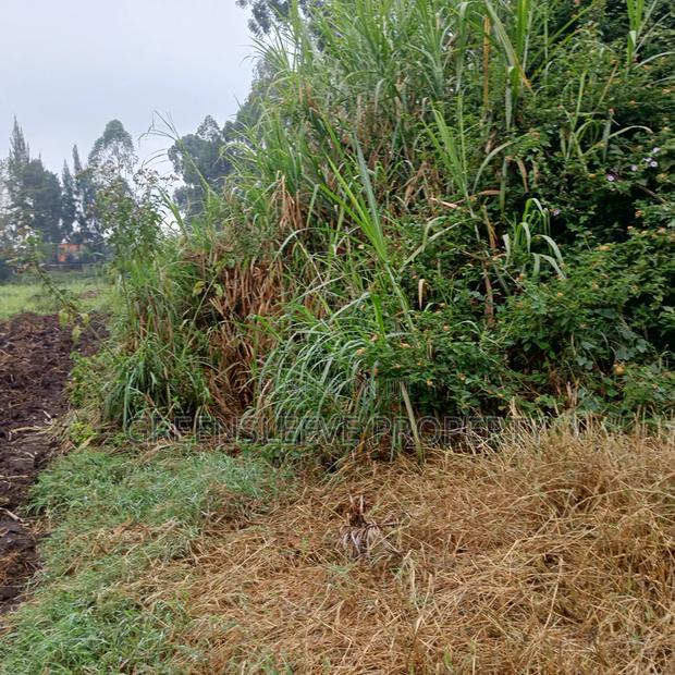 Commercial Land for Lease