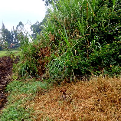 Commercial Land for Lease - Image 7