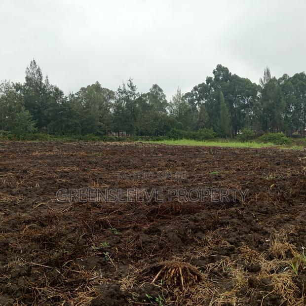 Commercial Land for Lease