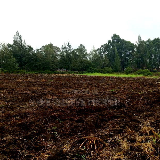 Commercial Land for Lease