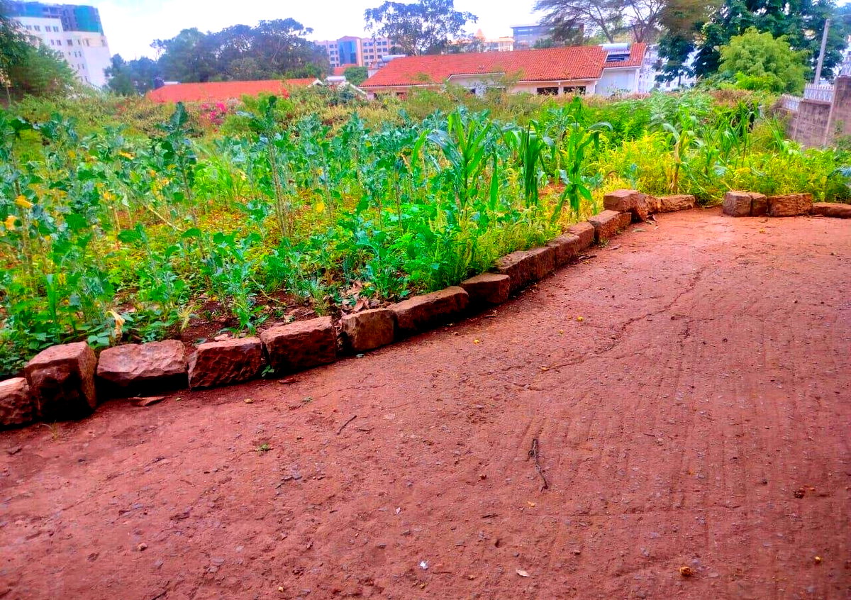 Half Acre Westlands Plot at KSh 180M