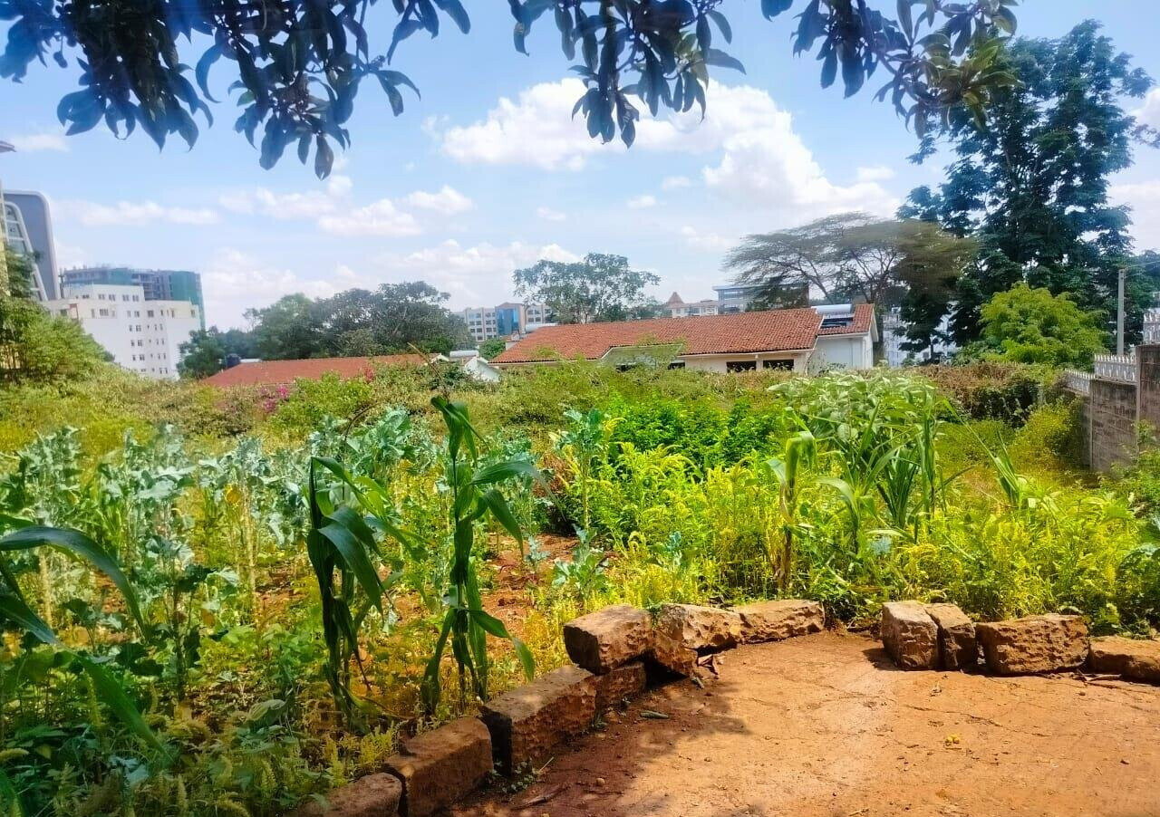 Half Acre Westlands Plot at KSh 180M