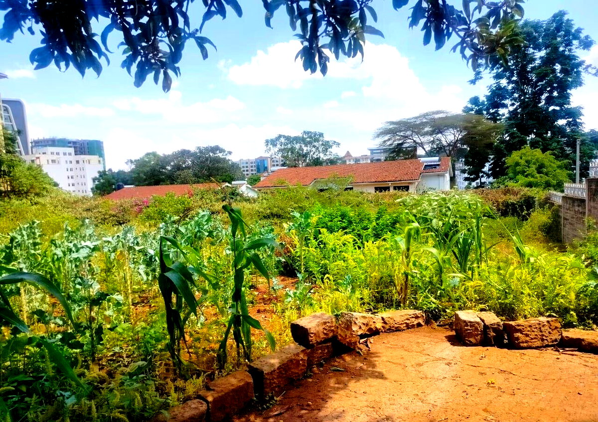 Half Acre Westlands Plot at KSh 180M