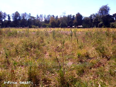 10 Acre at Muhotetu Laikipia West for Sale - Image 6