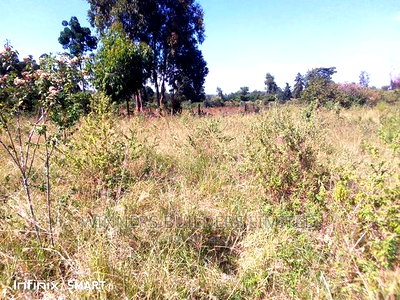 10 Acre at Muhotetu Laikipia West for Sale - Image 2