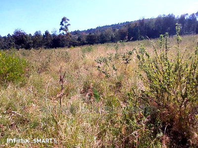 10 Acre at Muhotetu Laikipia West for Sale - Image 3
