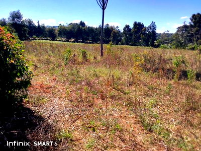 10 Acre at Muhotetu Laikipia West for Sale - Image 14