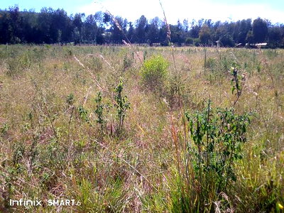 10 Acre at Muhotetu Laikipia West for Sale - Image 4