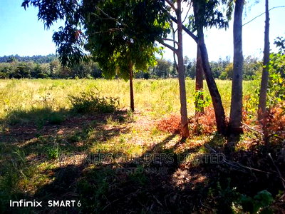 10 Acre at Muhotetu Laikipia West for Sale - Image 13
