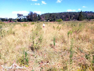 10 Acre at Muhotetu Laikipia West for Sale - Image 11