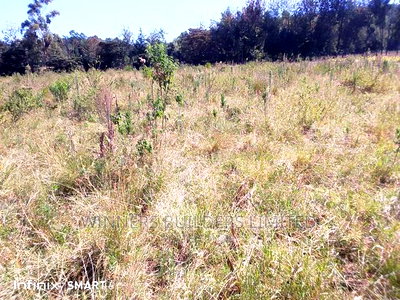 10 Acre at Muhotetu Laikipia West for Sale - Image 9