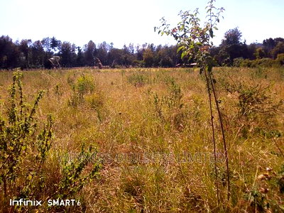10 Acre at Muhotetu Laikipia West for Sale - Image 5