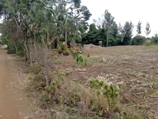 Prime Plots for Sale at Kikapu Near Egerton University Njoro