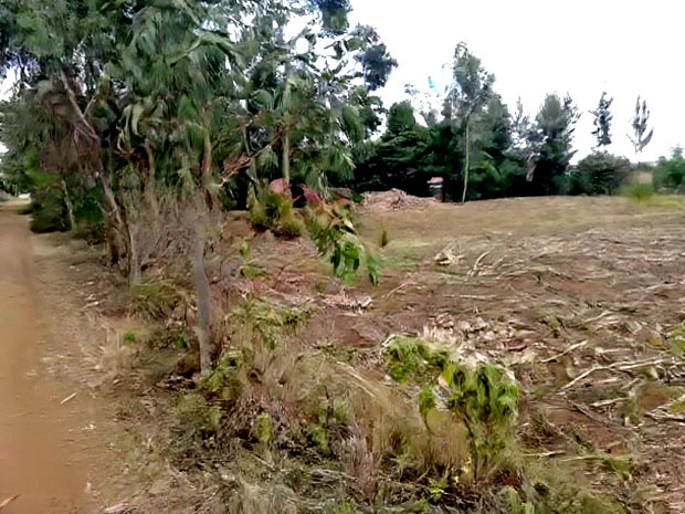Prime Plots for Sale at Kikapu Near Egerton University Njoro