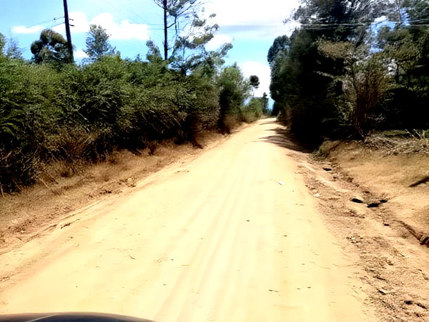 Prime Plots for Sale at Kikapu Near Egerton University Njoro