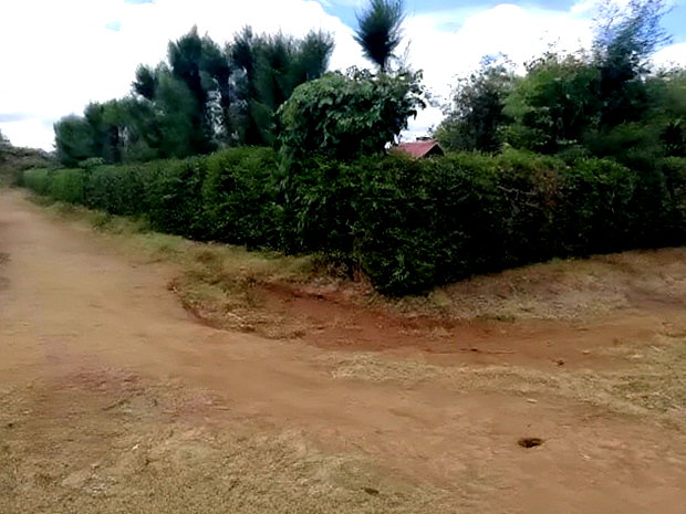 Prime Plots for Sale at Kikapu Near Egerton University Njoro