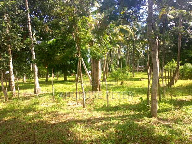 1/4 Acre Prime Land in Kikambala