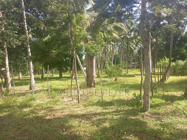 1/4 Acre Prime Land in Kikambala