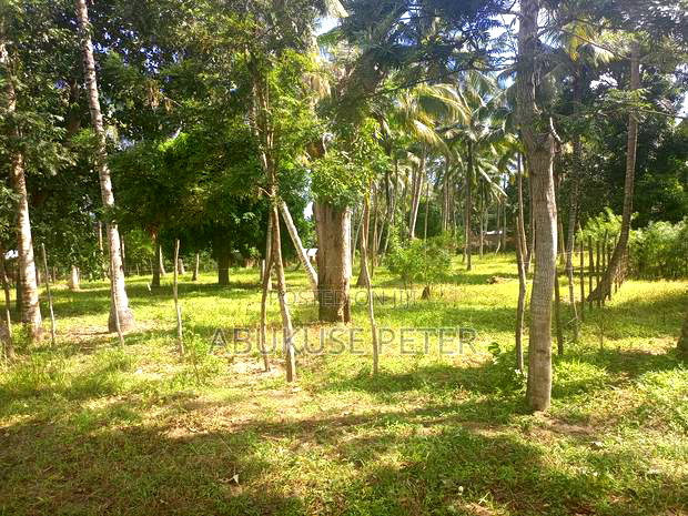 1/4 Acre Prime Land in Kikambala