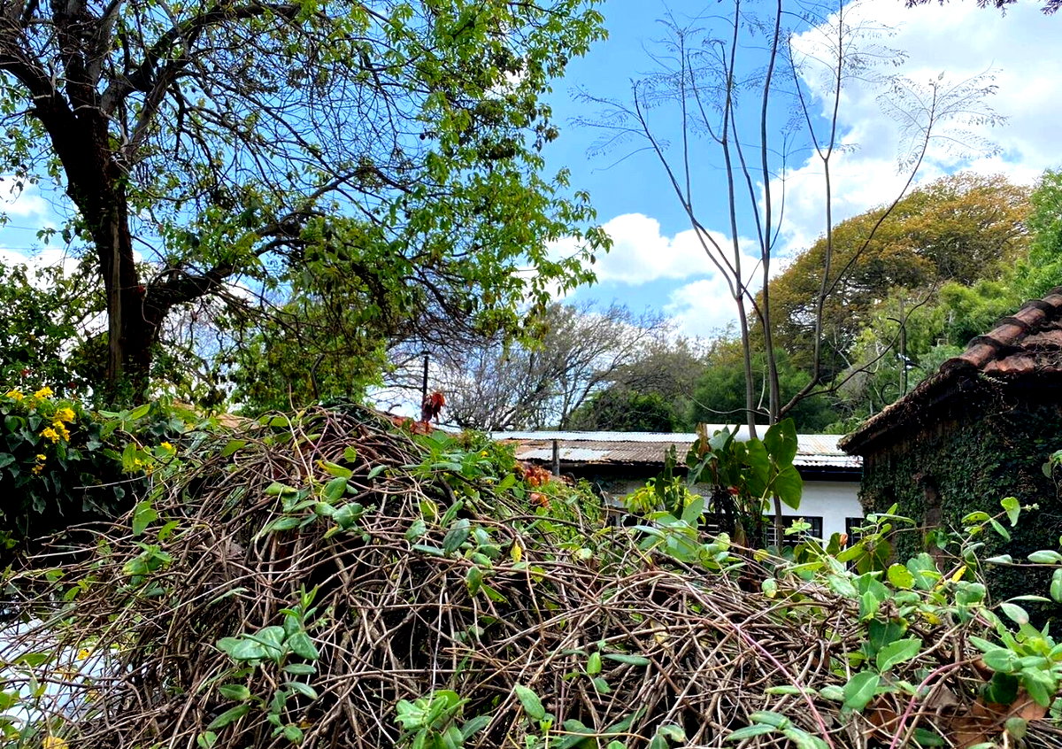 0.97 Acre Lavington Plot with Garden