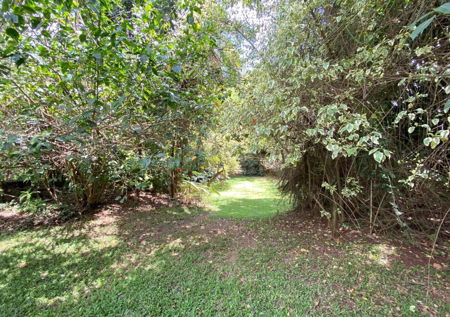 0.97 Acre Lavington Plot with Garden