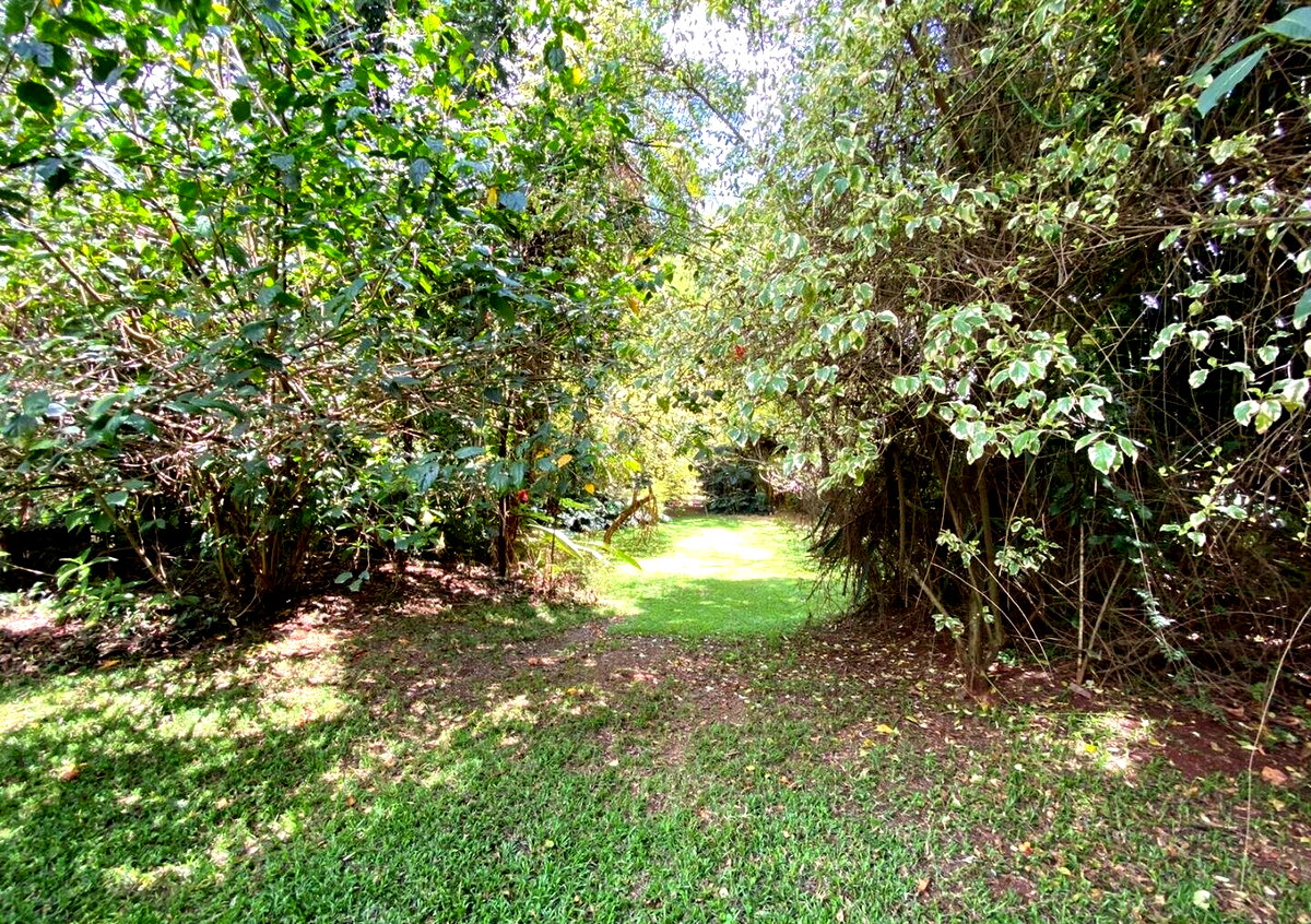 0.97 Acre Lavington Plot with Garden