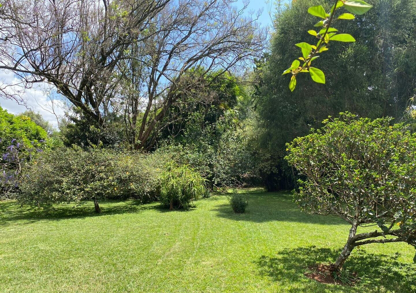 0.97 Acre Lavington Plot with Garden