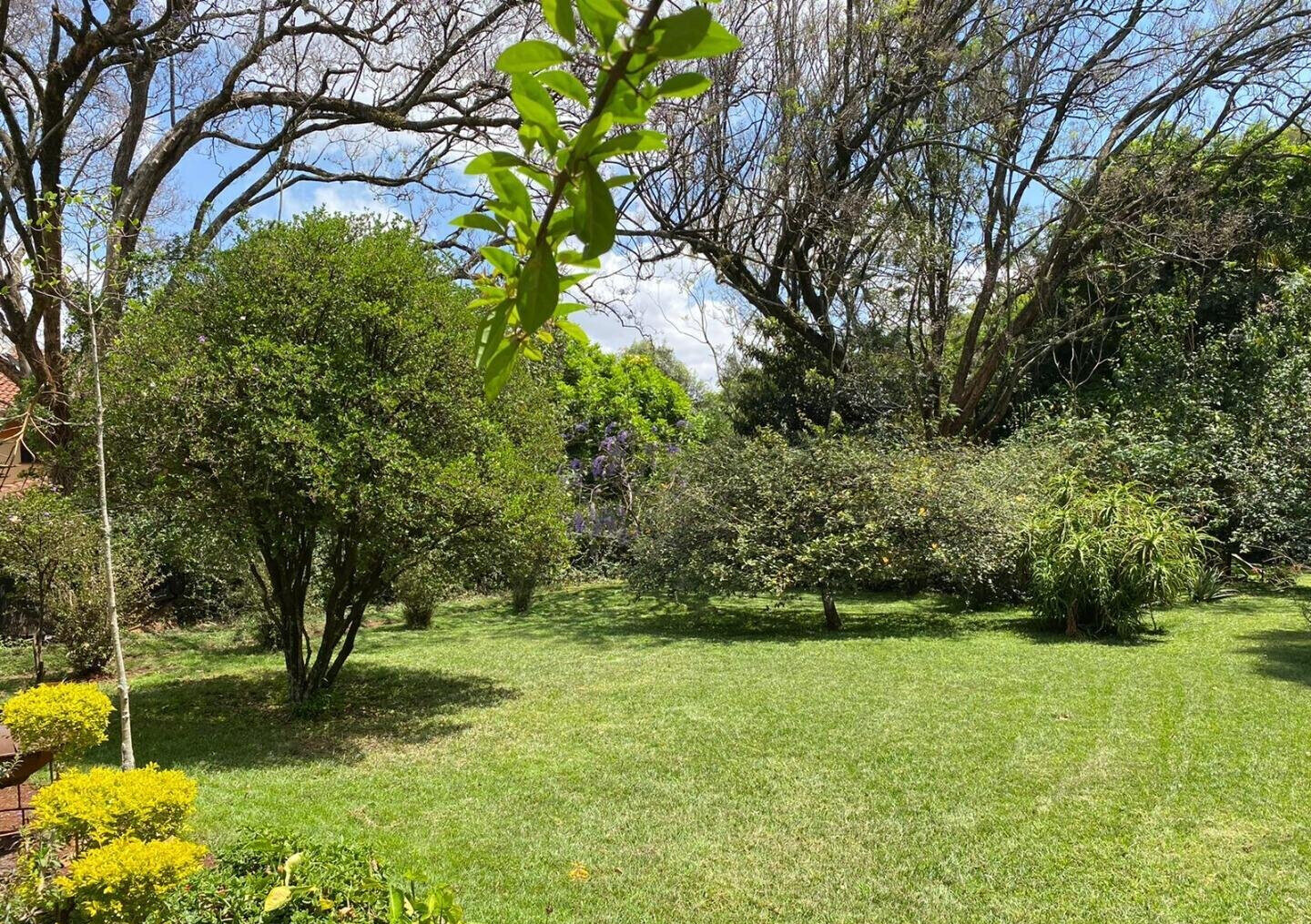 0.97 Acre Lavington Plot with Garden