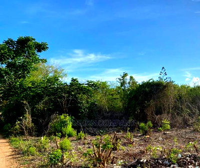 Land for Sale - Image 10