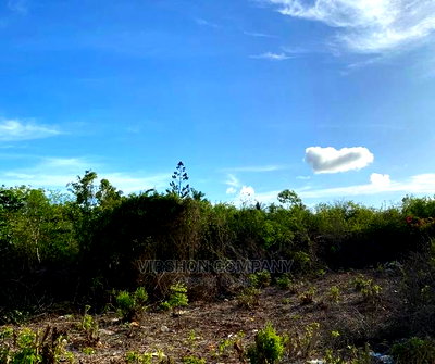 Land for Sale - Image 9