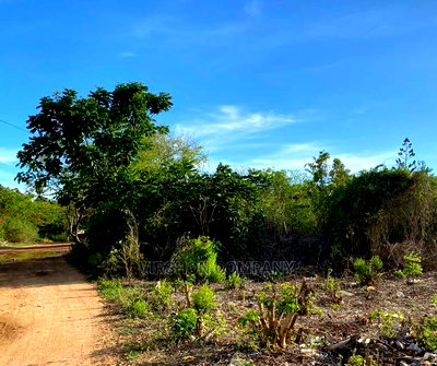 Land for Sale - Image 8