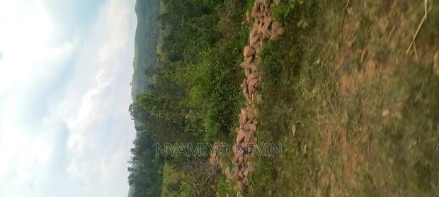 Gem Wagai (Komuok School)