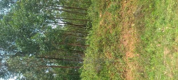 Gem Wagai (Komuok School)